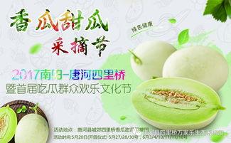 四大网红吃瓜,揭秘娱乐圈幕后真相