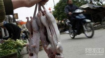 越南屠夫案视频吃瓜网,吃瓜群众热议，真相究竟如何？