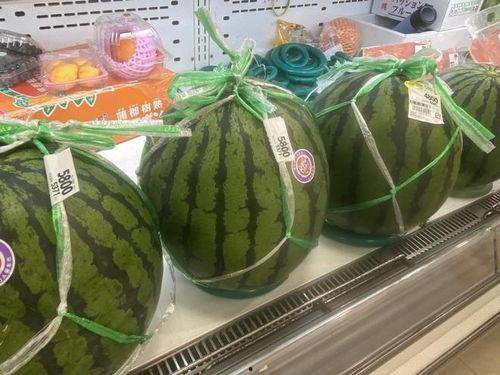 日网吃瓜,娱乐圈最新吃瓜大揭秘！