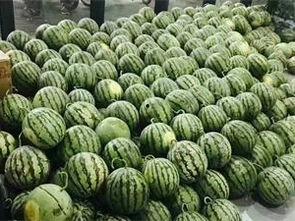 用校园网吃瓜,揭秘网络八卦背后的校园生活