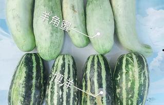 最近微很火的网红吃瓜,揭秘娱乐圈最新热点事件