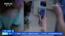 网红旅游吃瓜走红视频播放,揭秘热门景点幕后故事